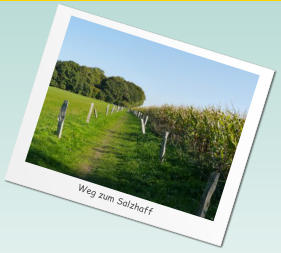 Weg zum Salzhaff